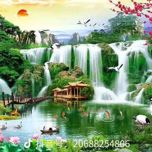 努力的80后