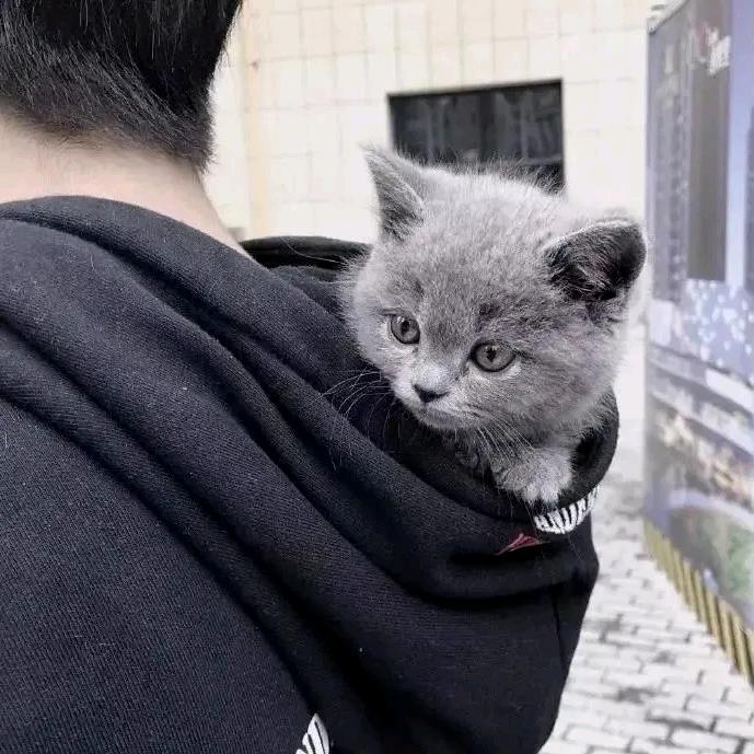 寒冬深路难行