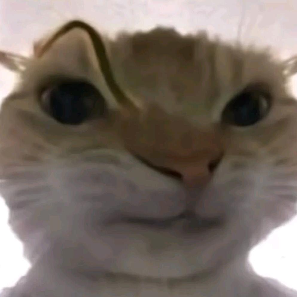 黑燃喵
