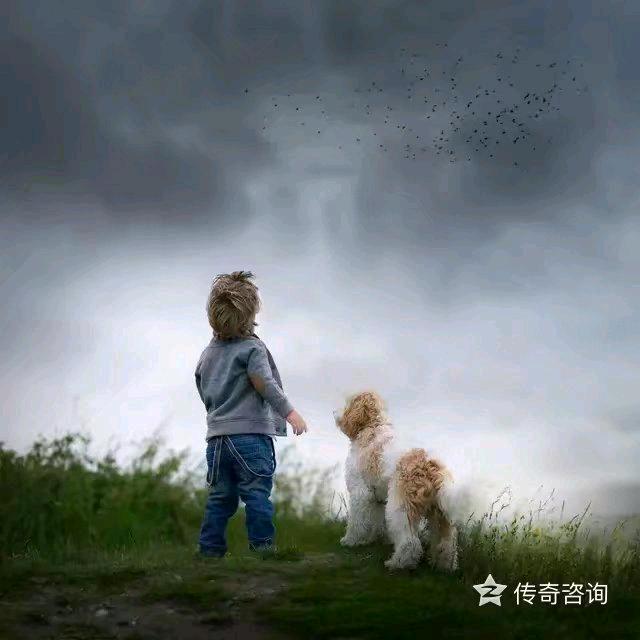 🧚‍♂️🍃风行万里🐋💫🎋🏄‍