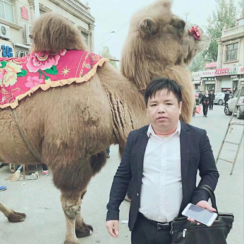 大表锅