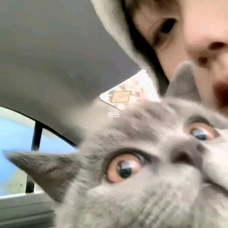 小意大王