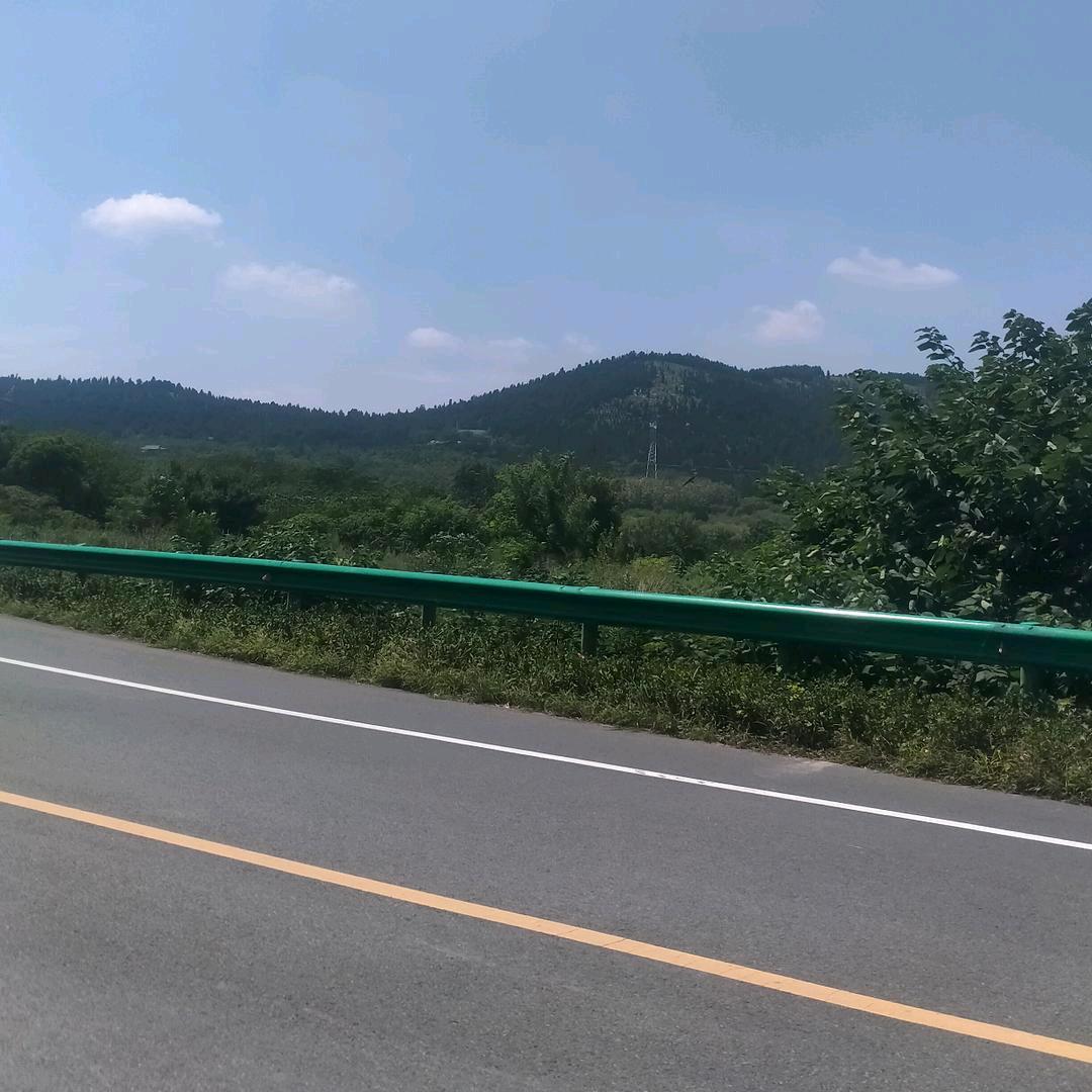 一片树叶848
