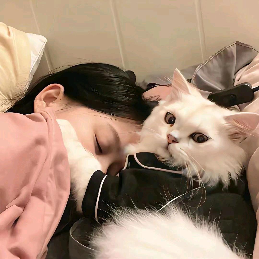 嘻嘻哈哈嘿嘿^▽^