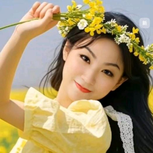 招财女神🧚‍♀️