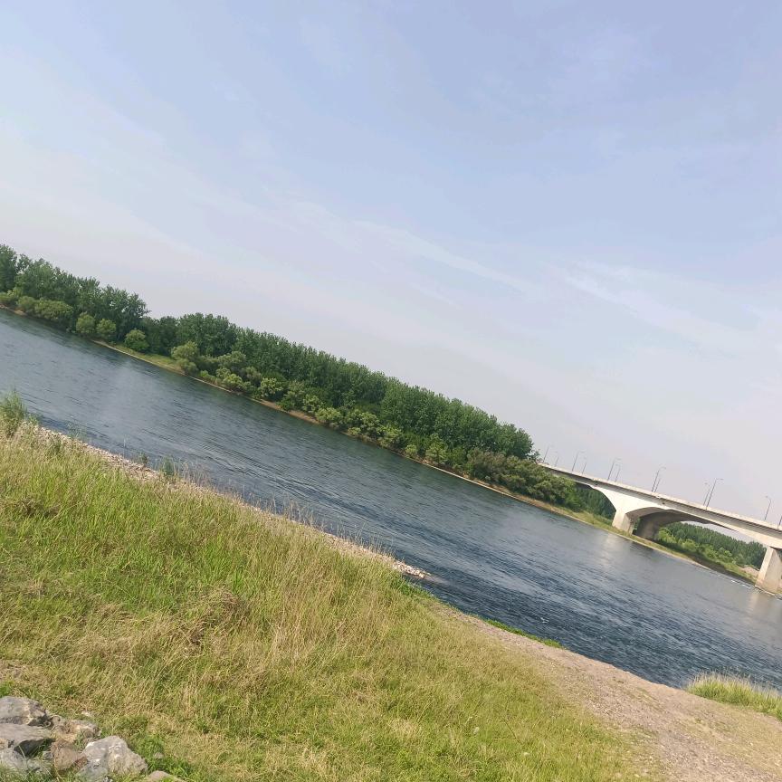 Aa