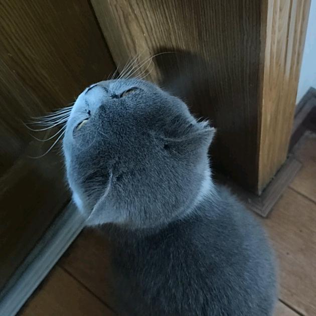 天幕