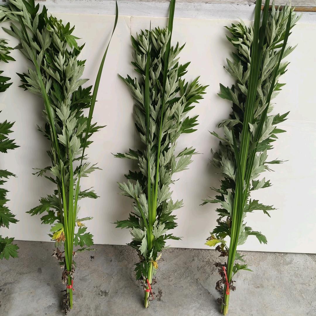 农村资源摄影师