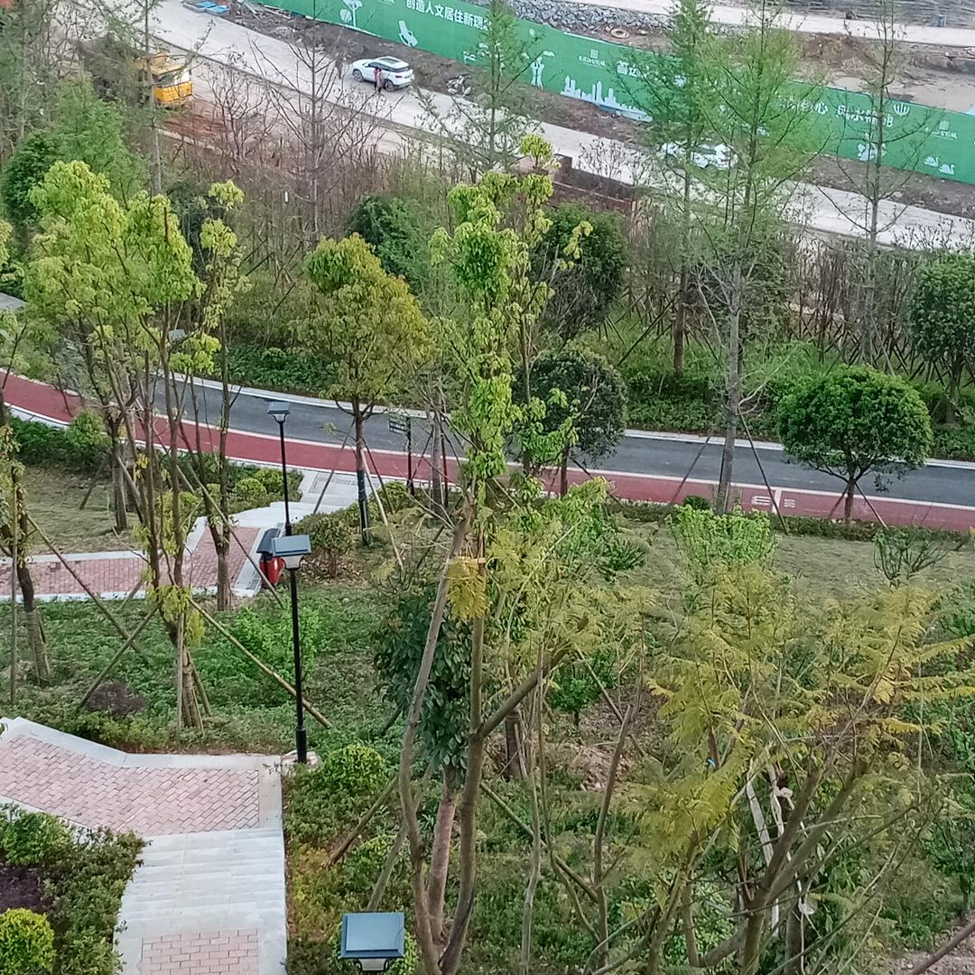 开心果🍎🍎🍎