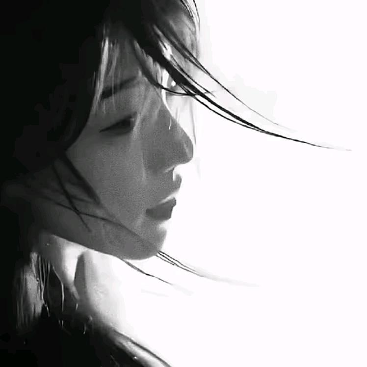 七秒鱼