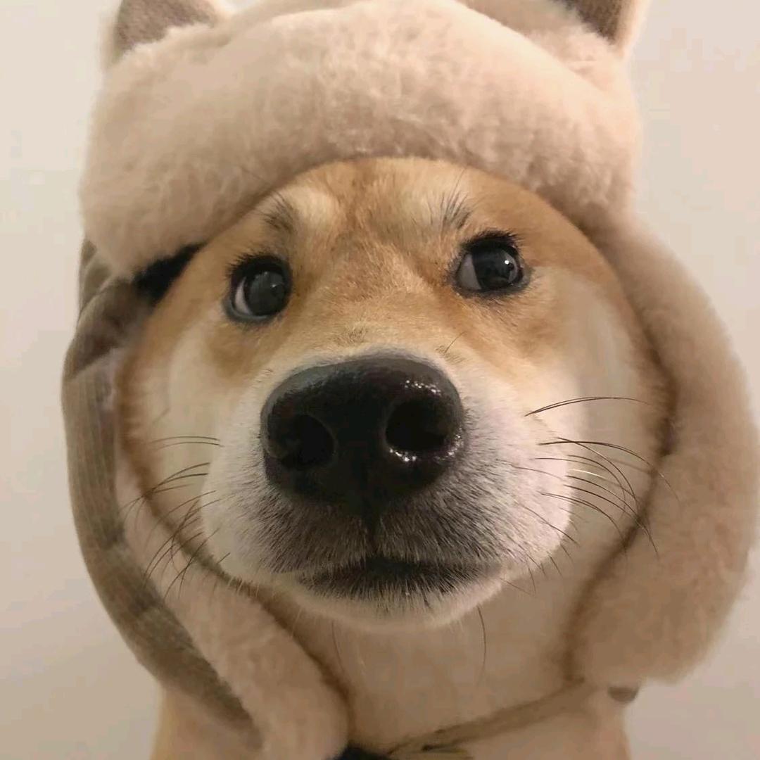 山茶酿