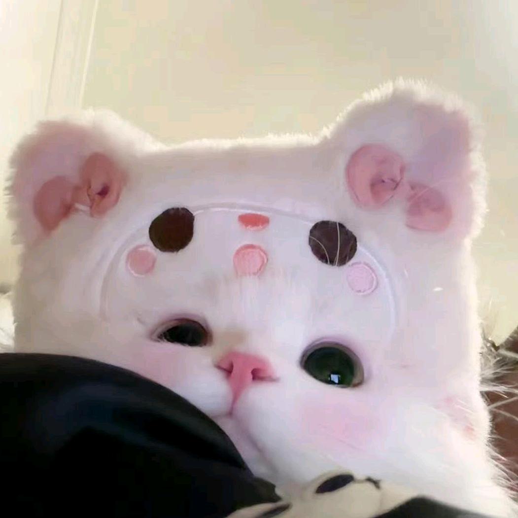 菲菲🐾(爱在在)/•᷅•᷄\୭🦋🥬