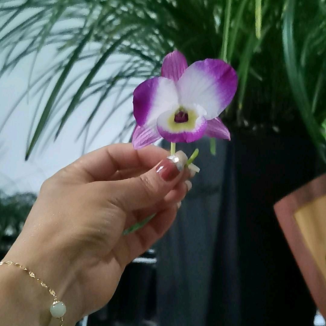 @英子👸