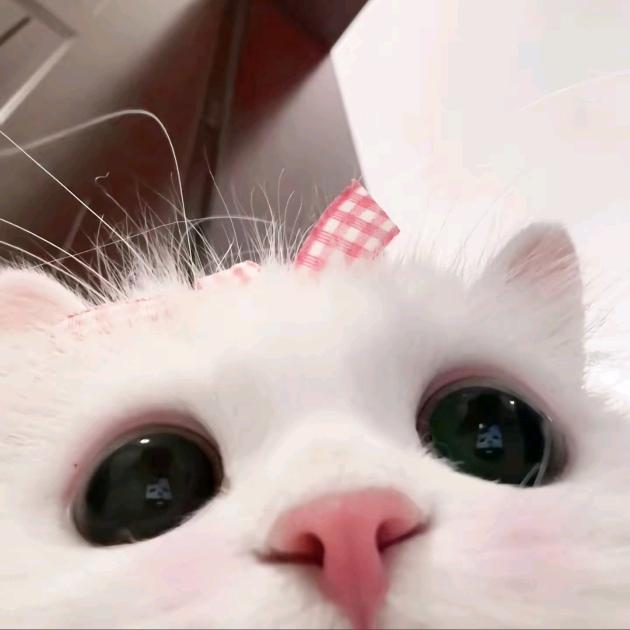 励志变态