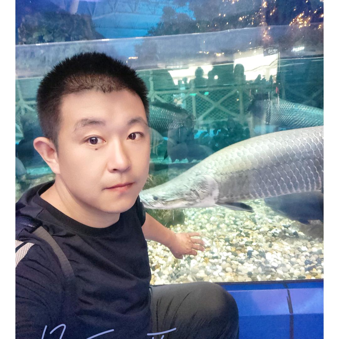 赵洋