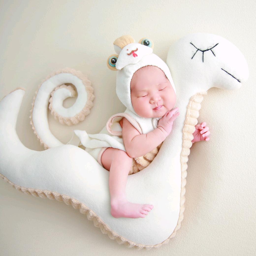 十一颗糯米团🍀