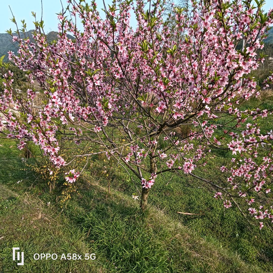 忘记过去重新开始