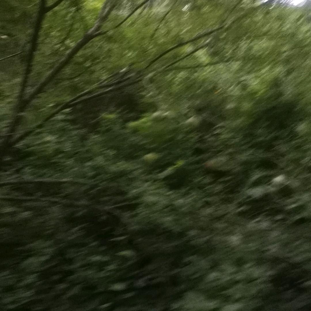 孤独的鹰🧞‍♀️