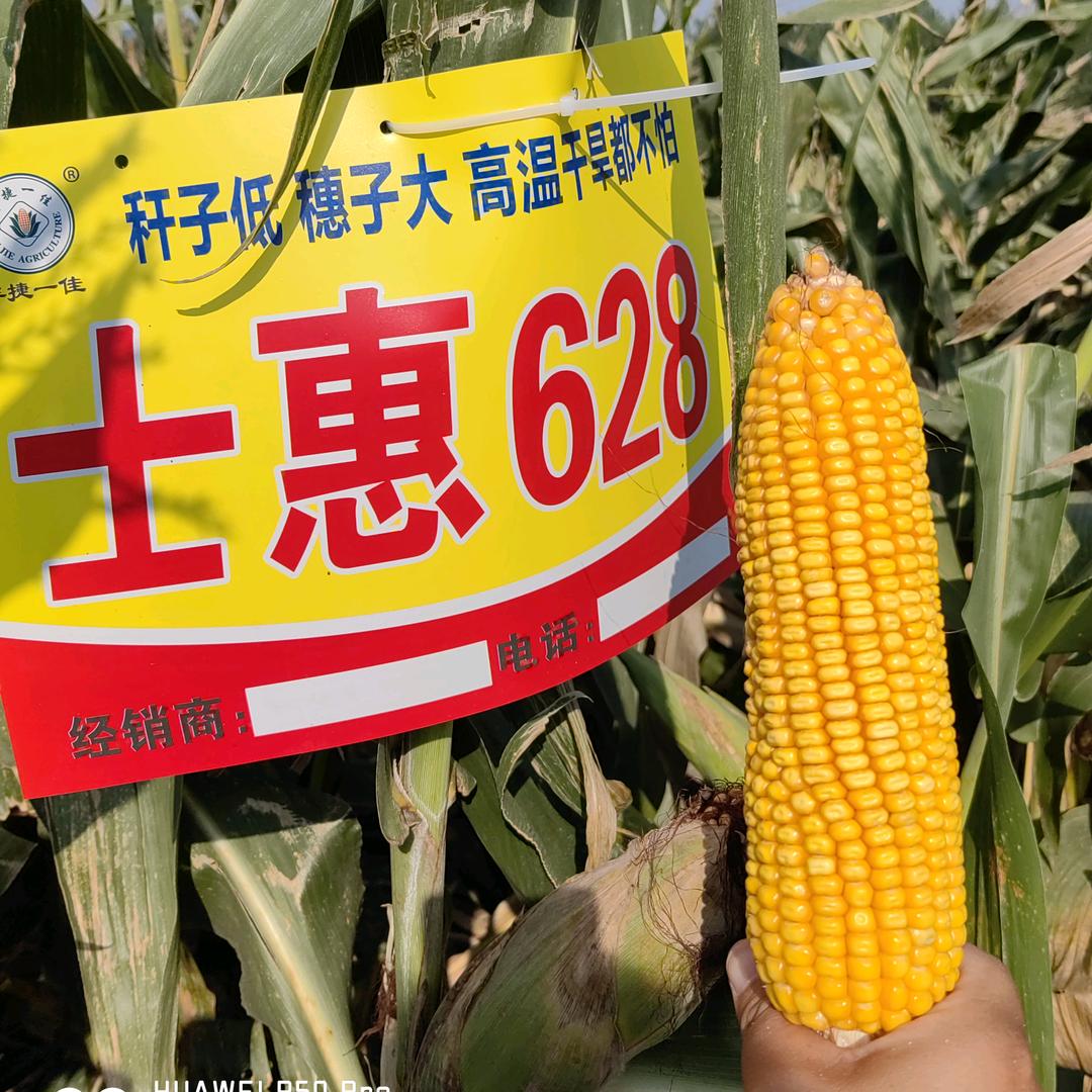 山东蒜都种业有限公司