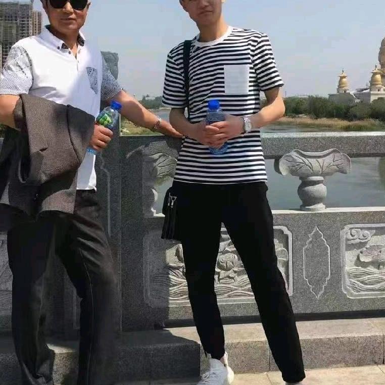 沙漠骆驼