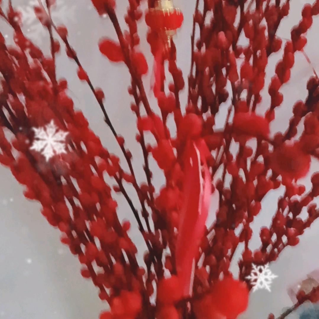 全家褔