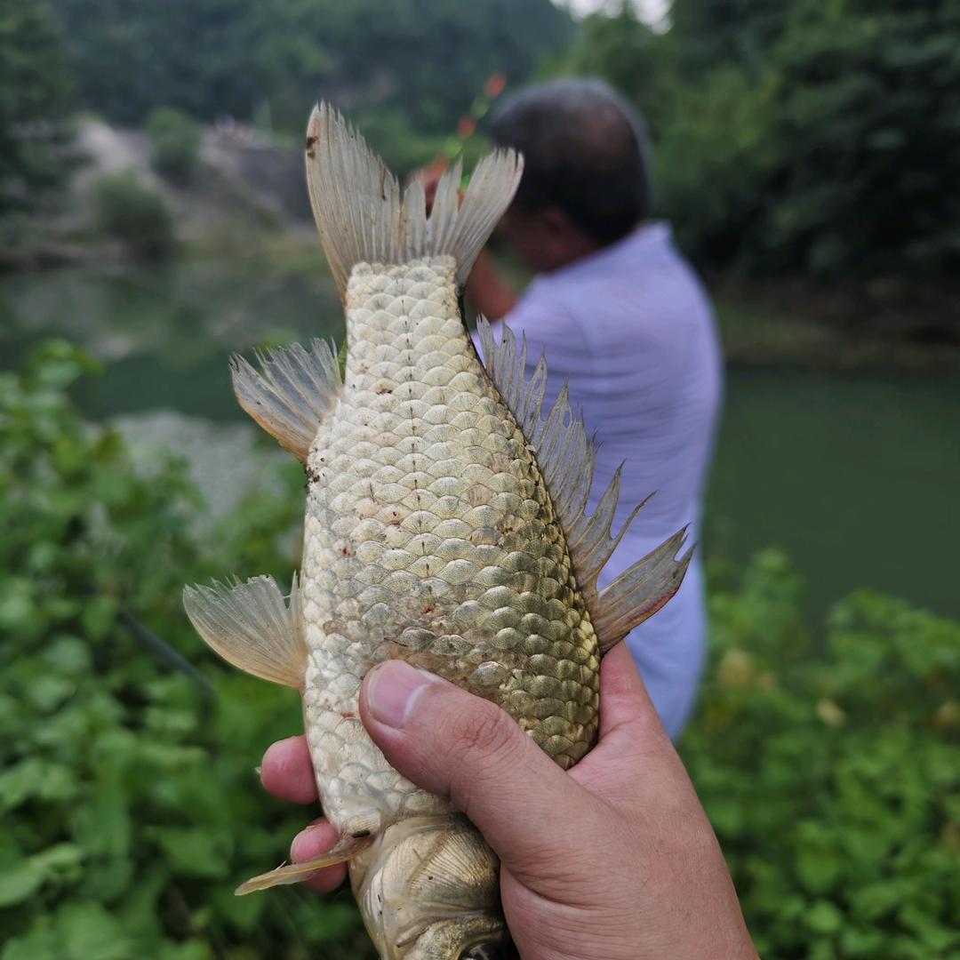 老羅爱钓鱼