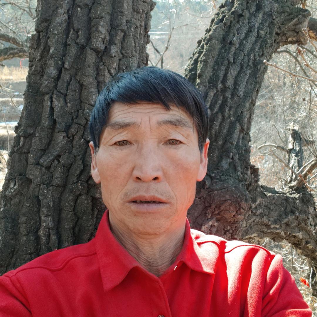 圣帝