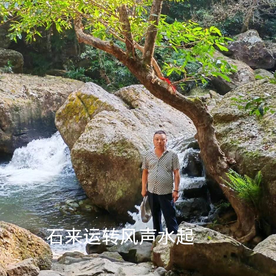 淡然廖智