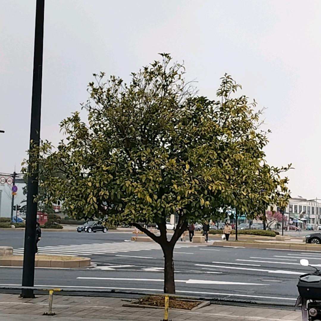 京东线上折扣超市