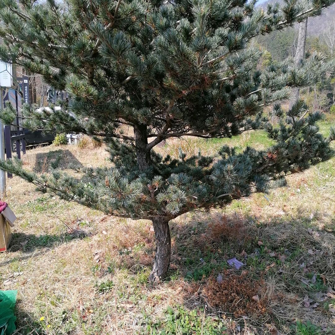 有你就是快乐