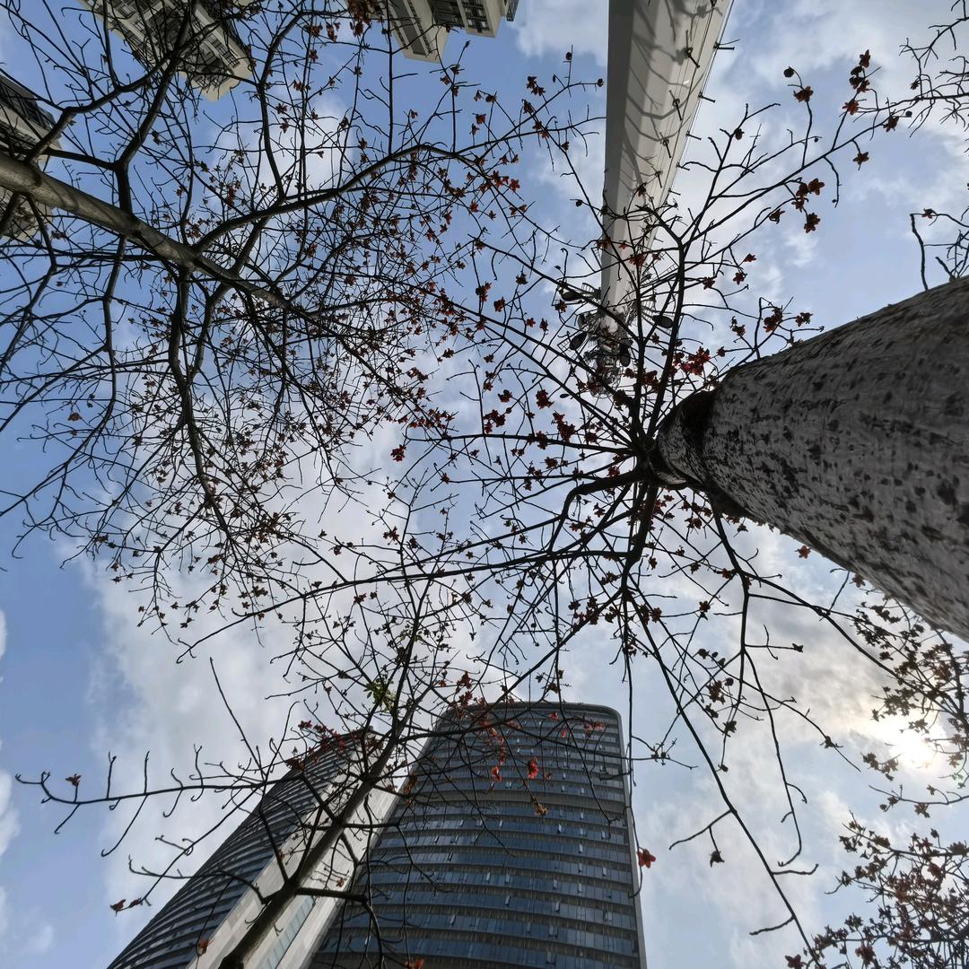 盗梦放映민