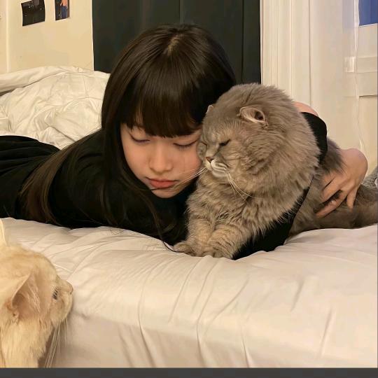 萨拉枇杷