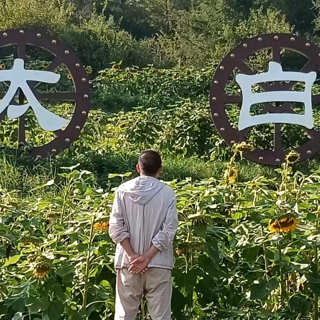 浪漫职业自由人