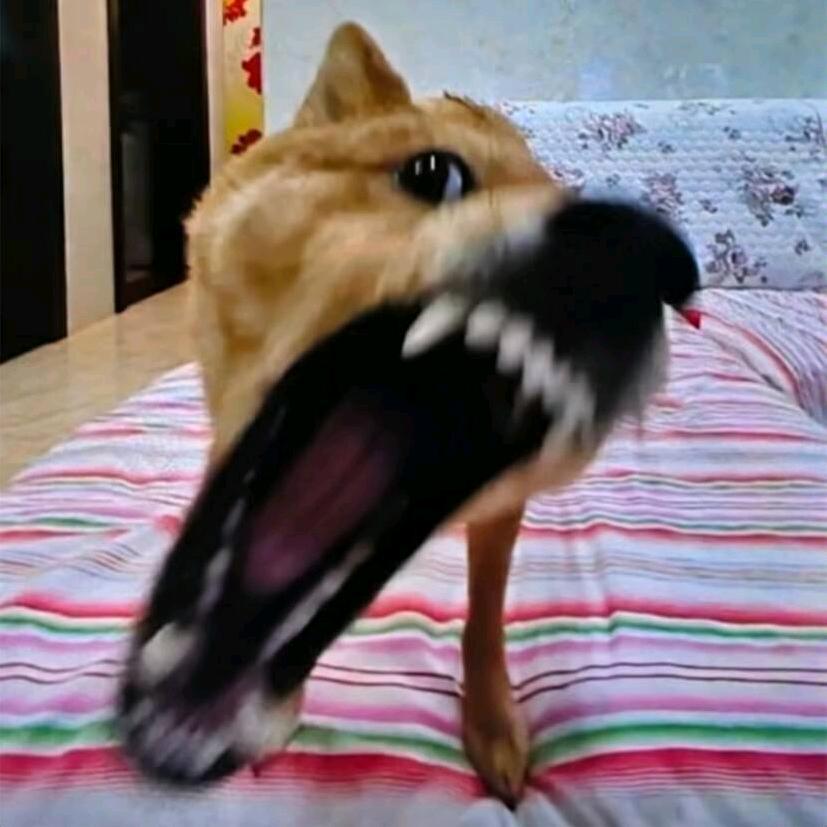 戳辣