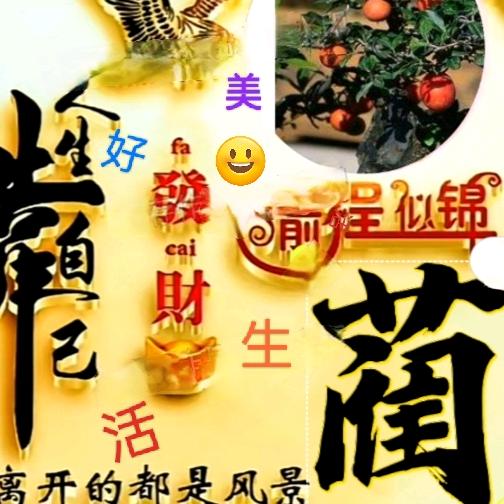 农民大叔好友