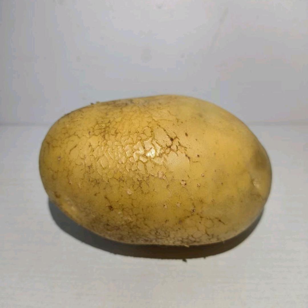 土豆