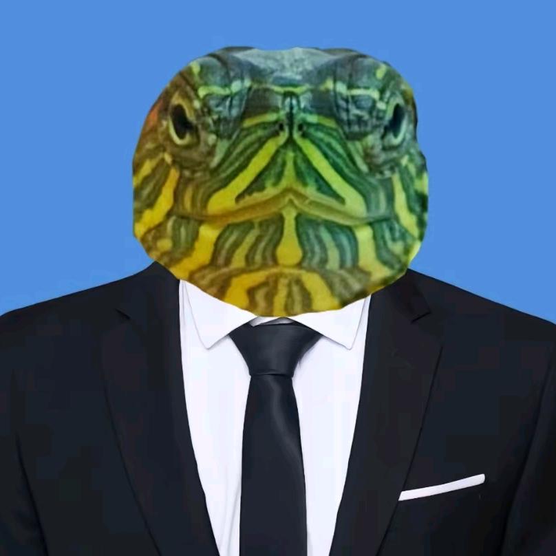 老鳖先生头像