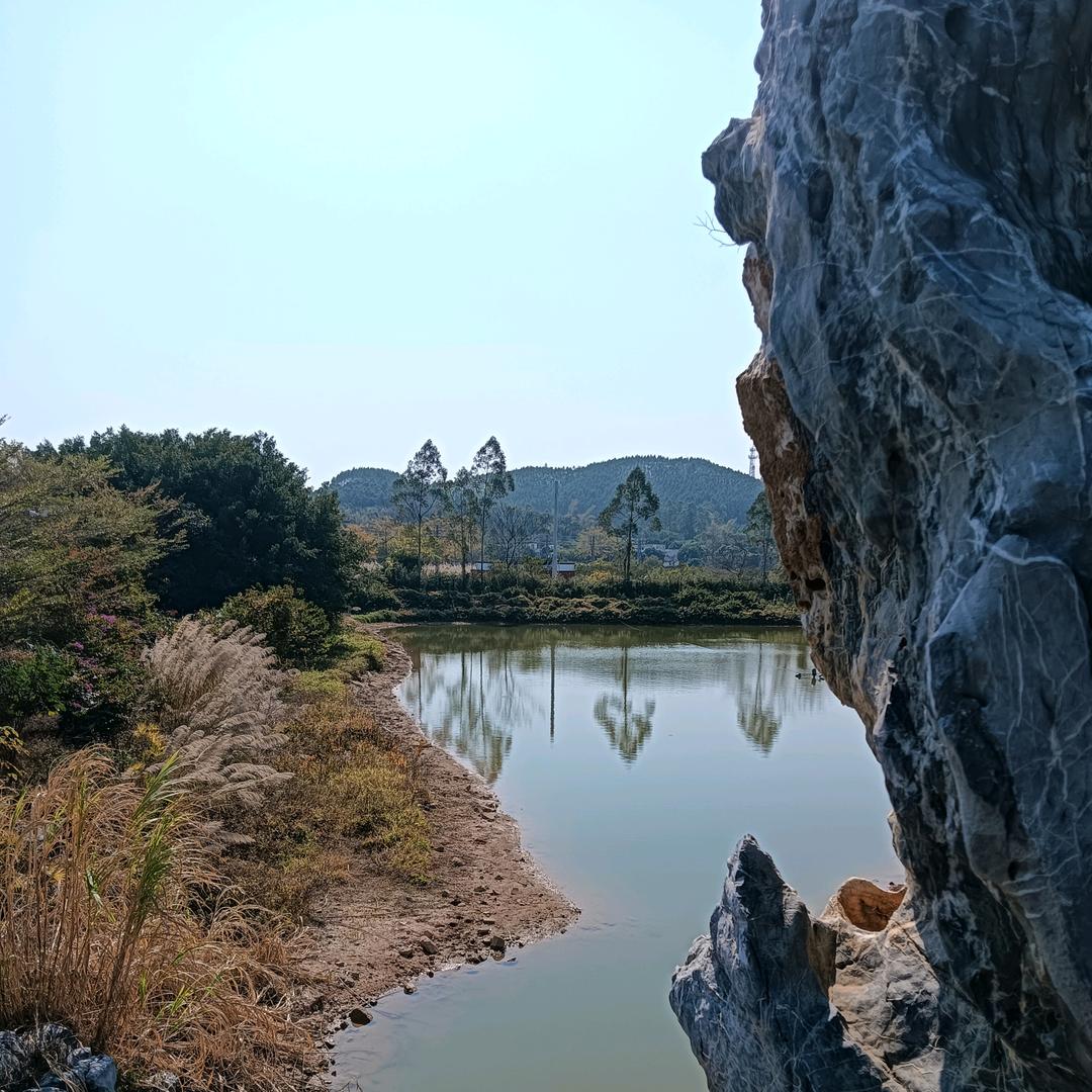 好吃先生