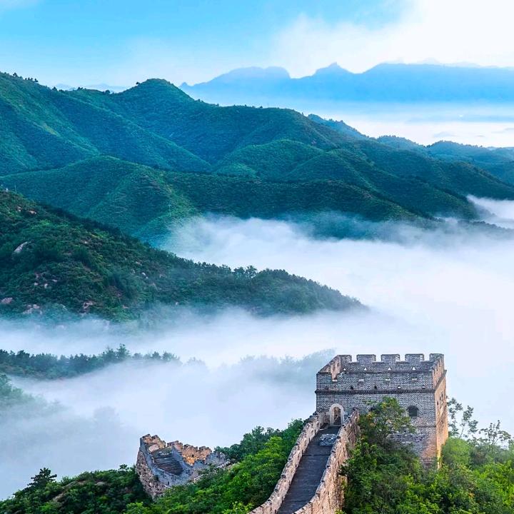 与你挽月色