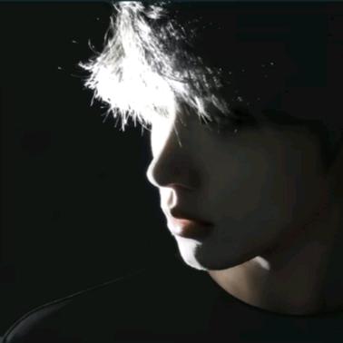 我的郁金香小姐.