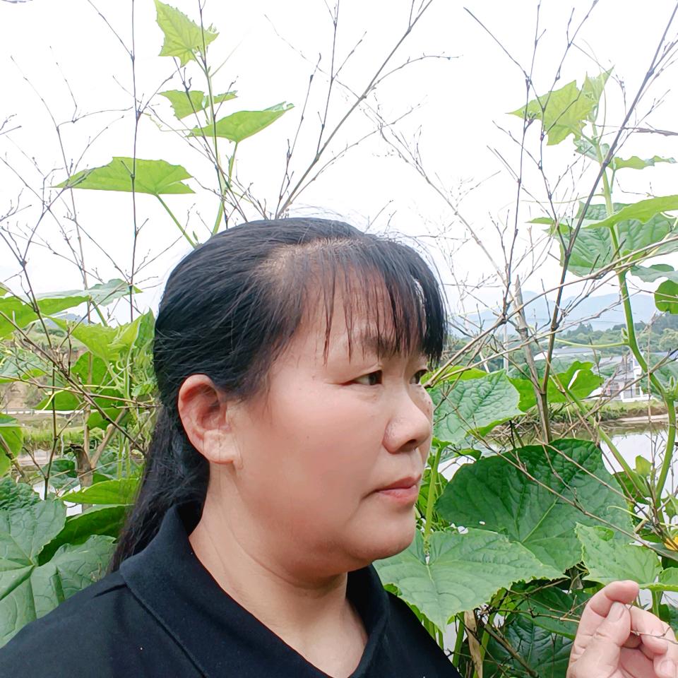 云居。