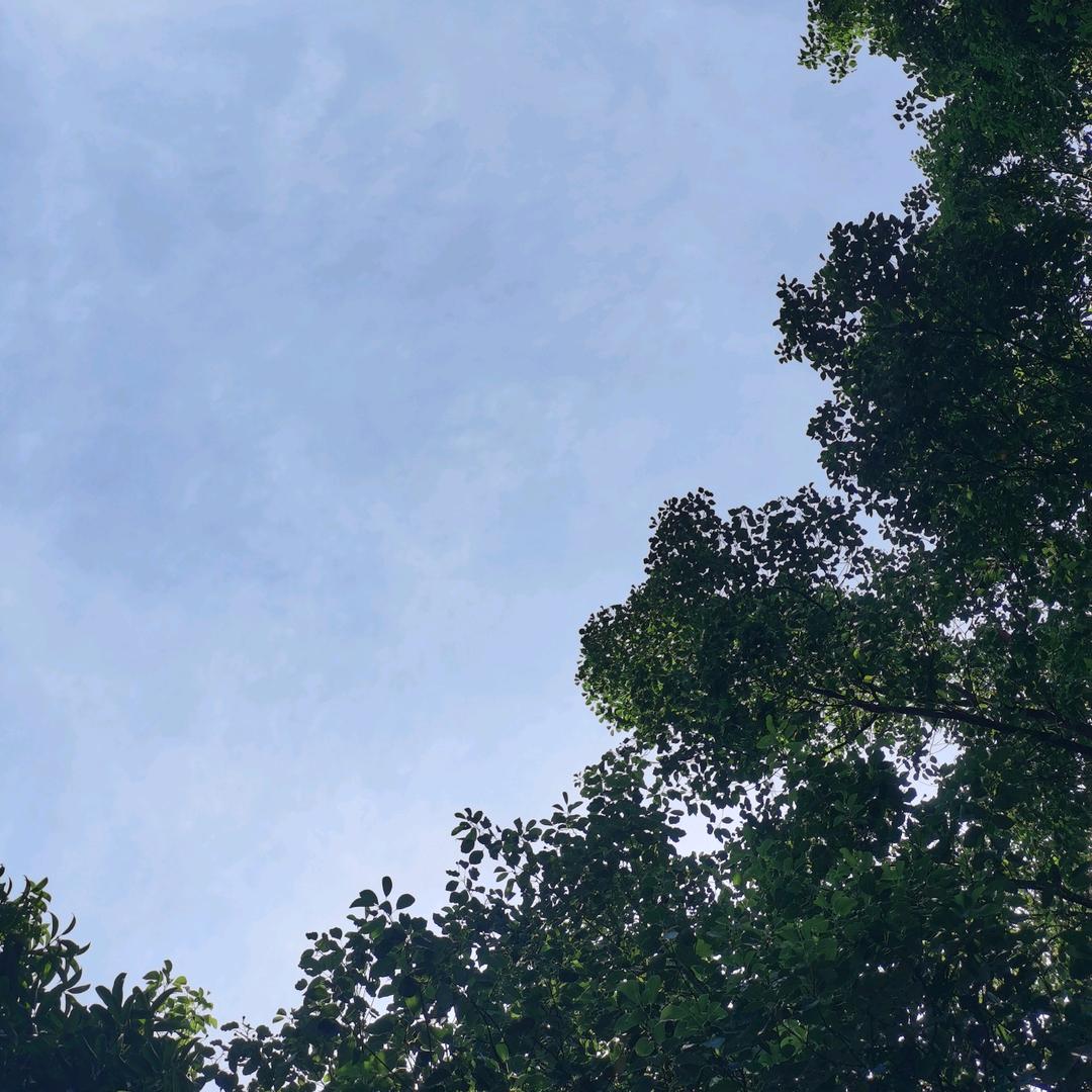 深思的小鱼干