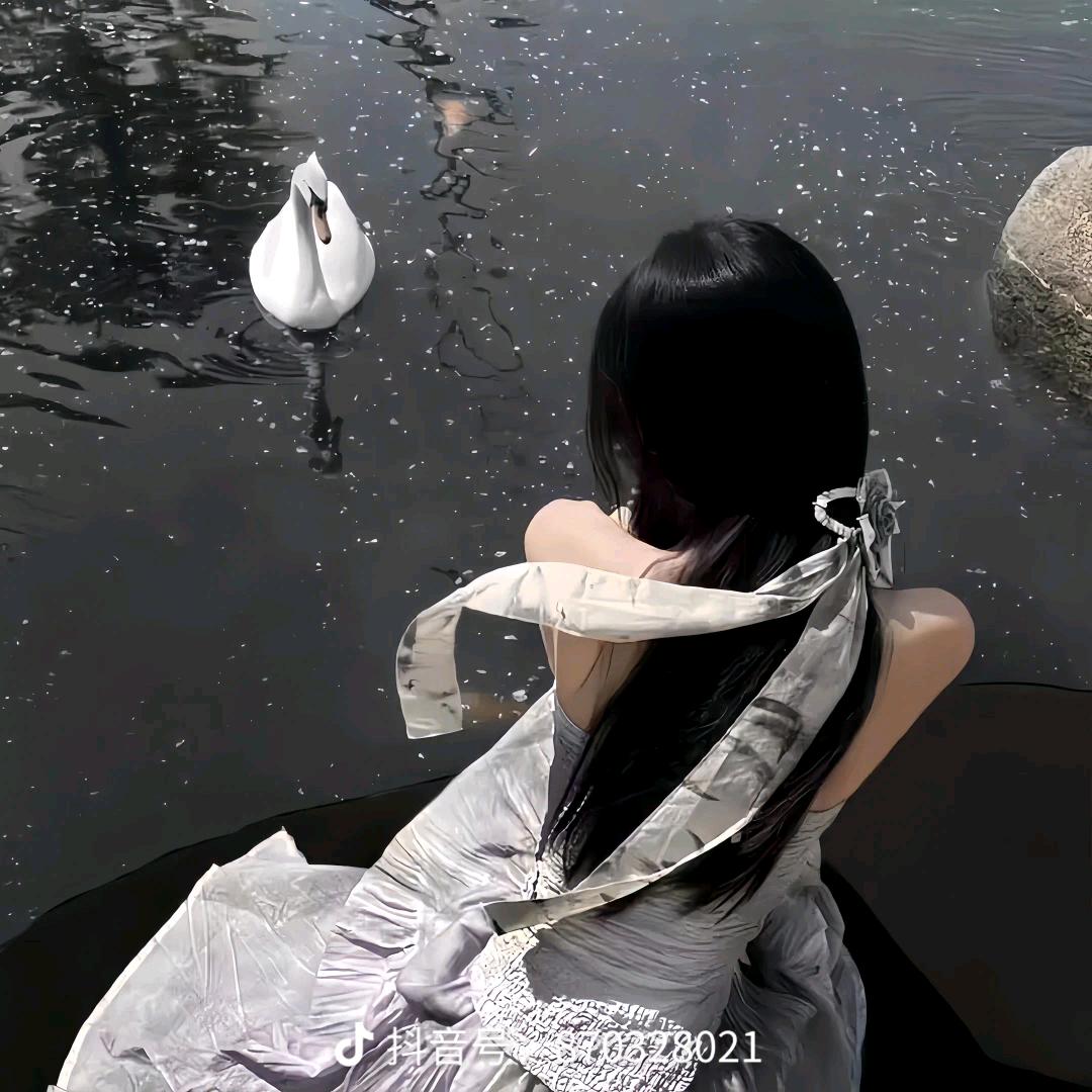 ꕥ᭄袅袅ഒᩚ࿐ 🕊