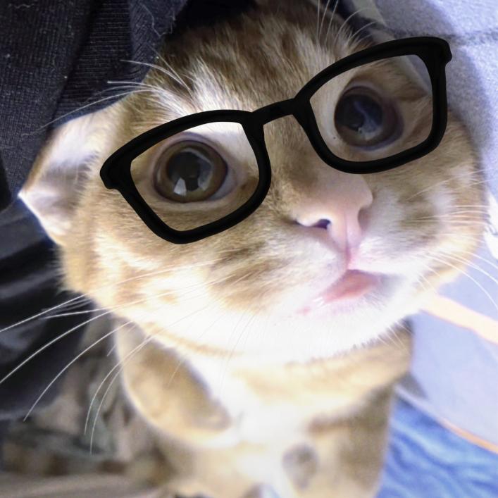 Yo.O