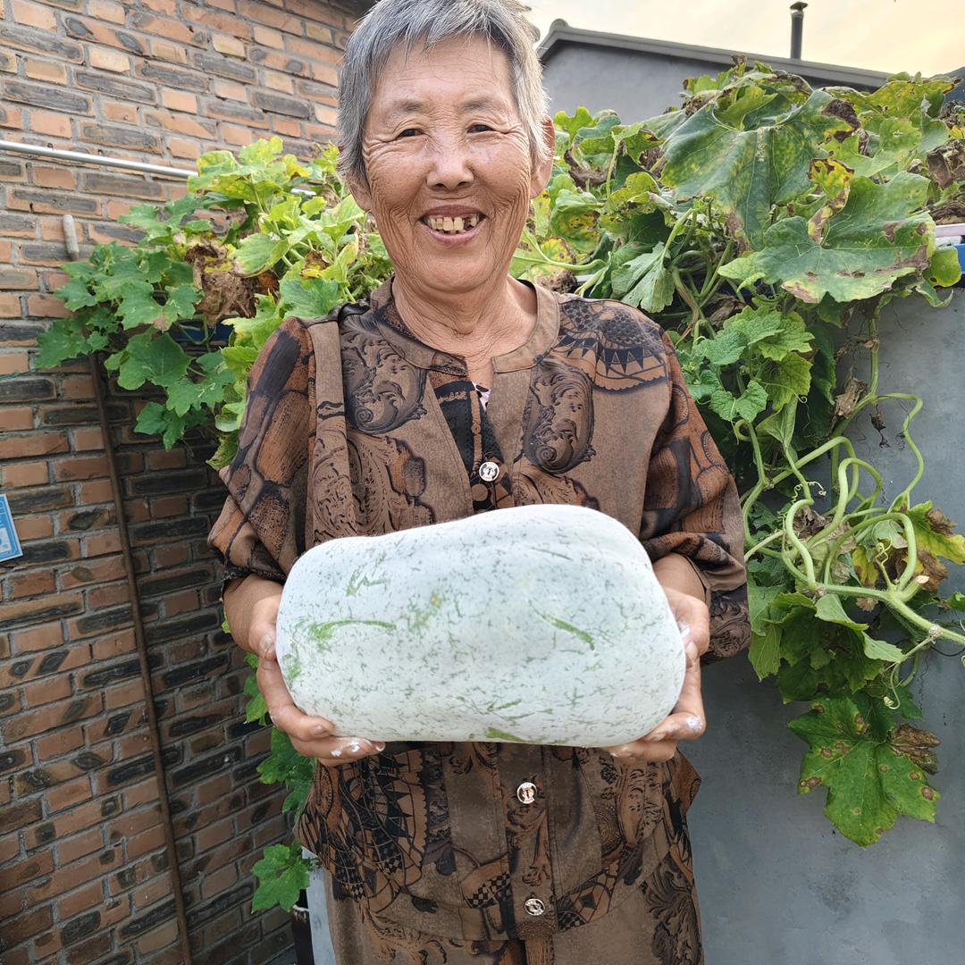 农村刘姥姥的快乐生活