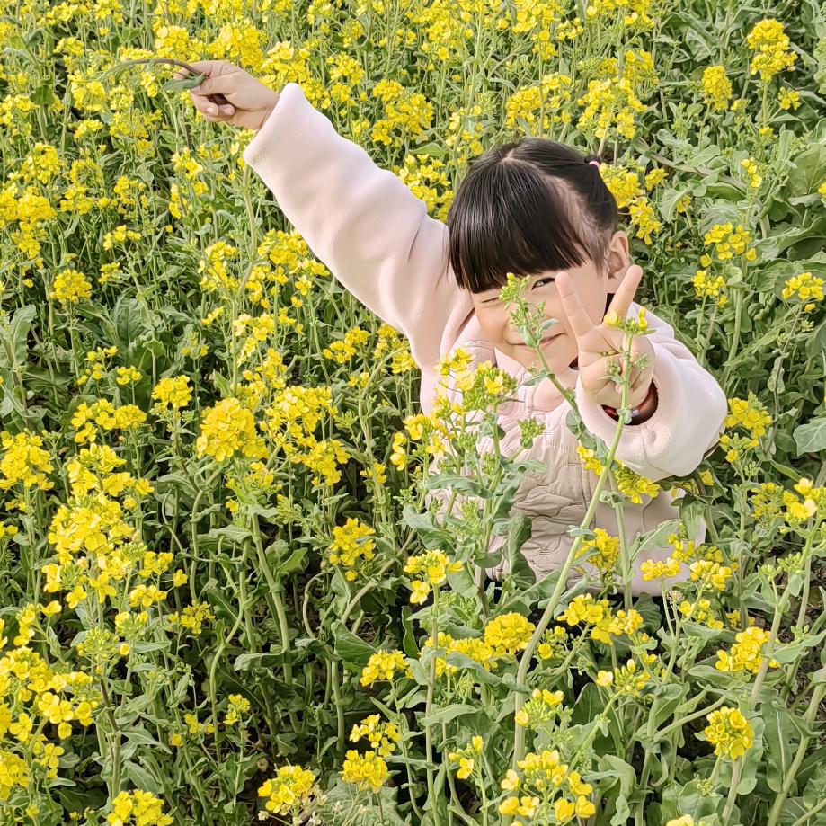 随心随缘