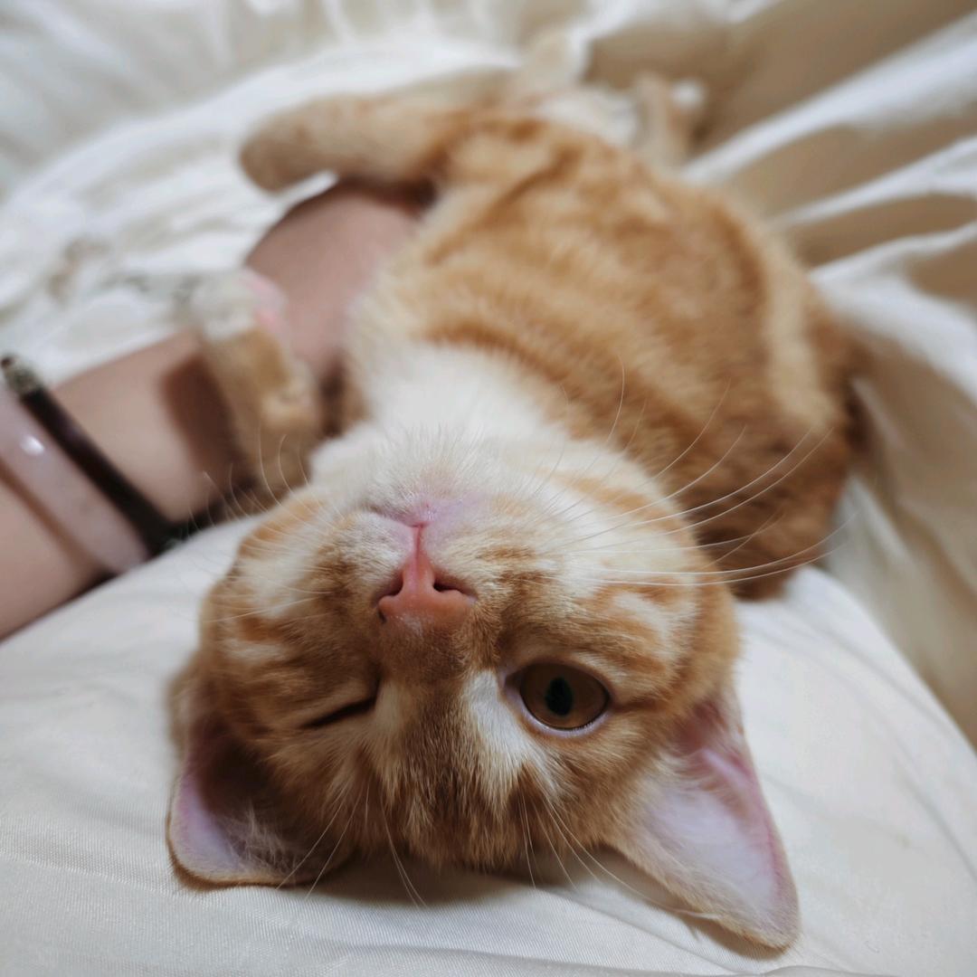 在魔仙堡开小卖部