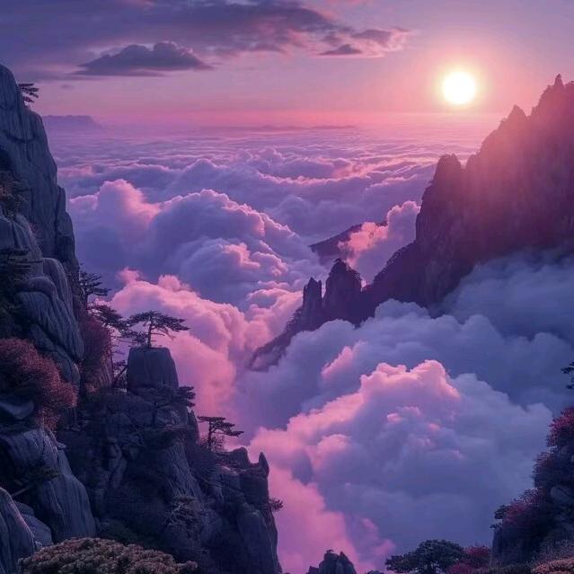 紫韵盈福
