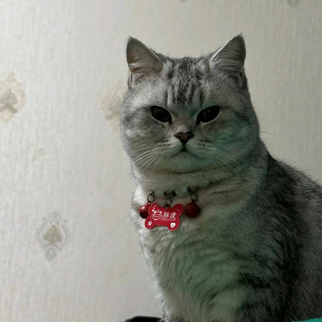 小梅