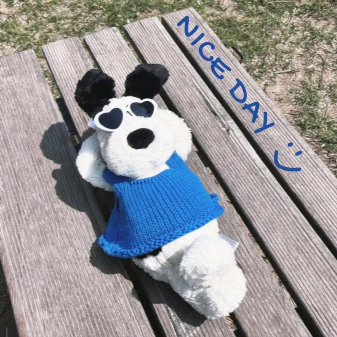 爱玩游戏的绿萝